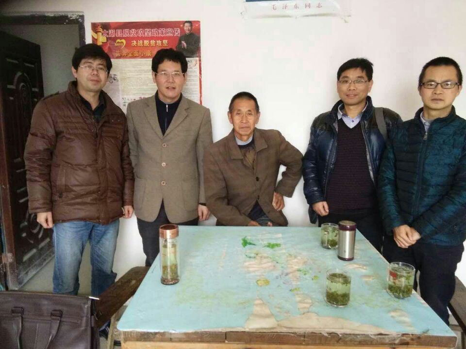 太阳成集团tyc234cc