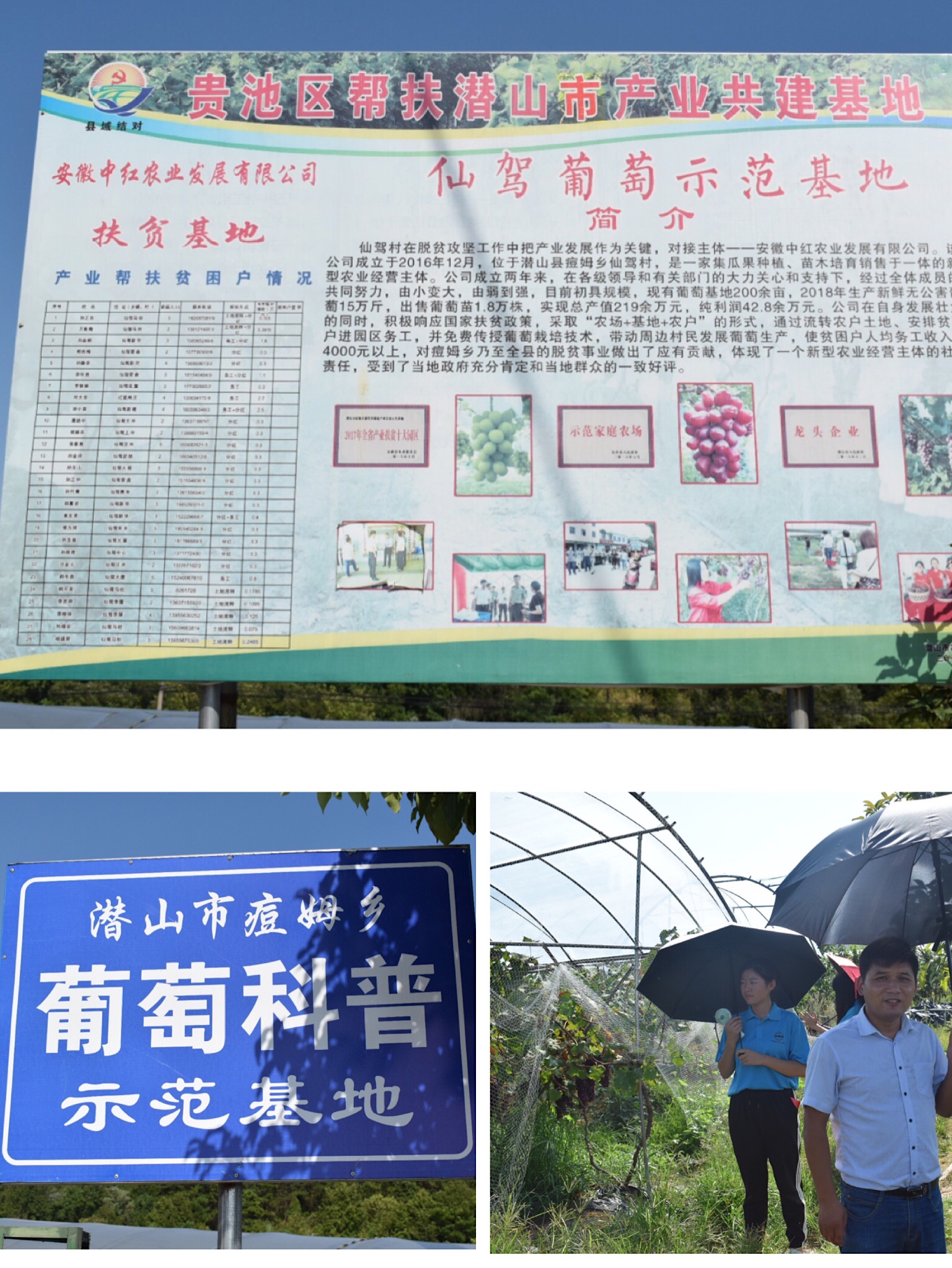 太阳成集团tyc234cc